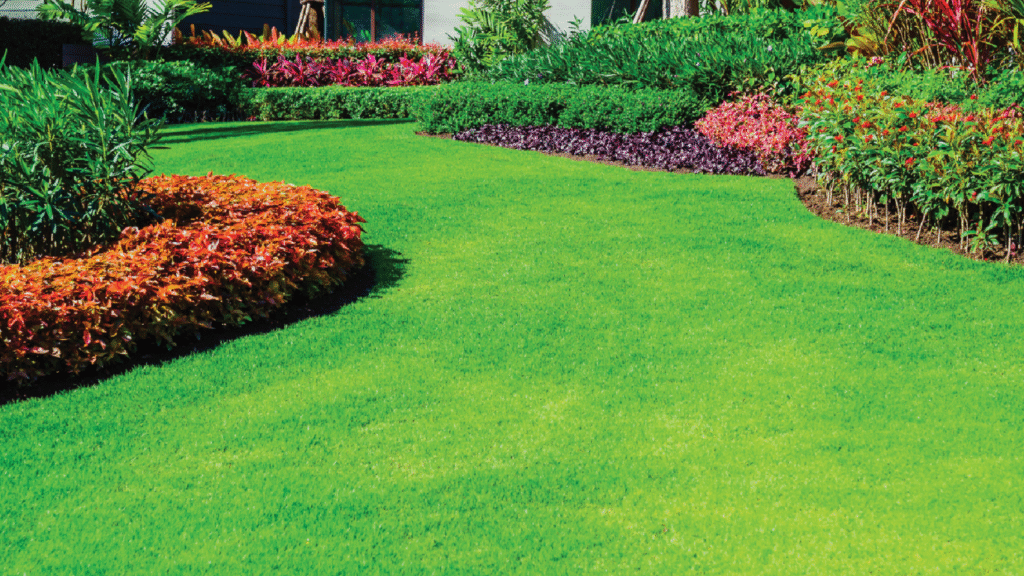 تصميم حدائق-تنسيق حدائق