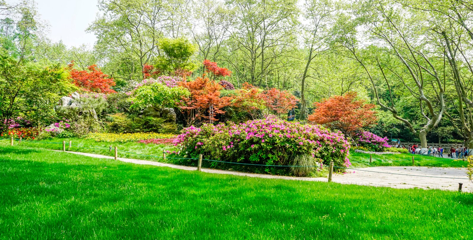 البحيره الذهبيه- المسطحات الخضراء-عروض العام الجديد