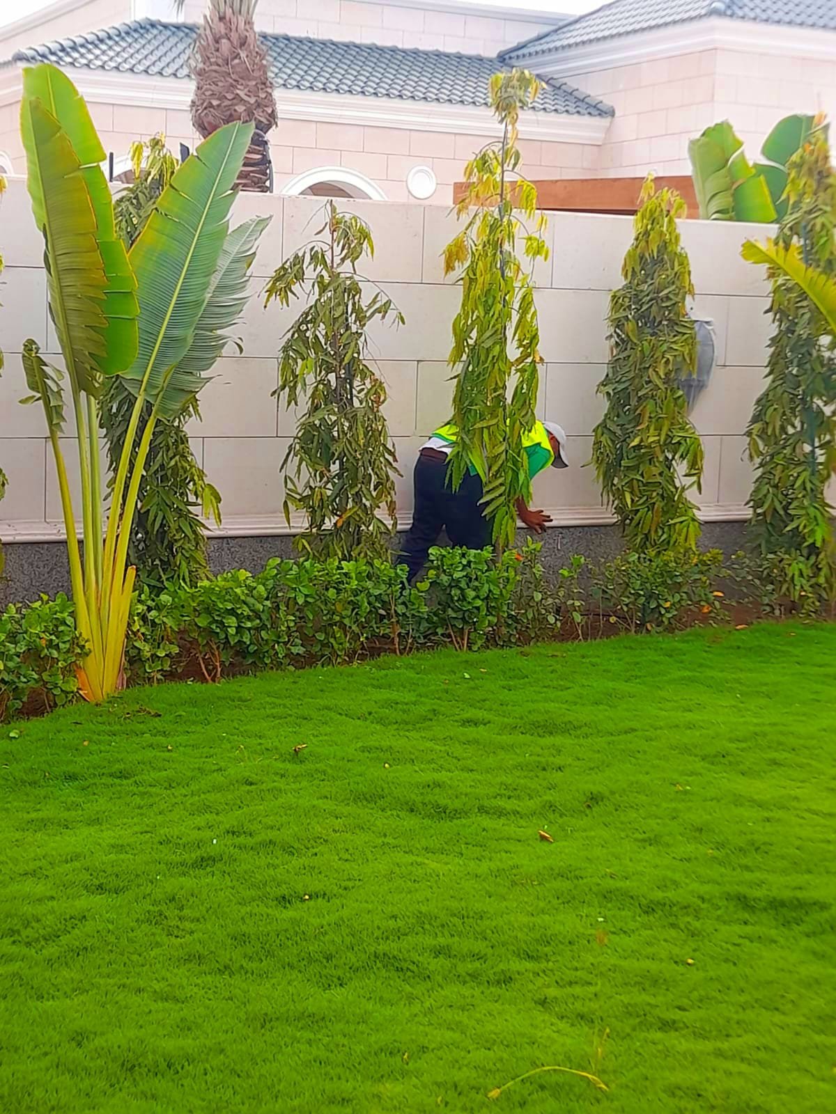 Landscape maintenance