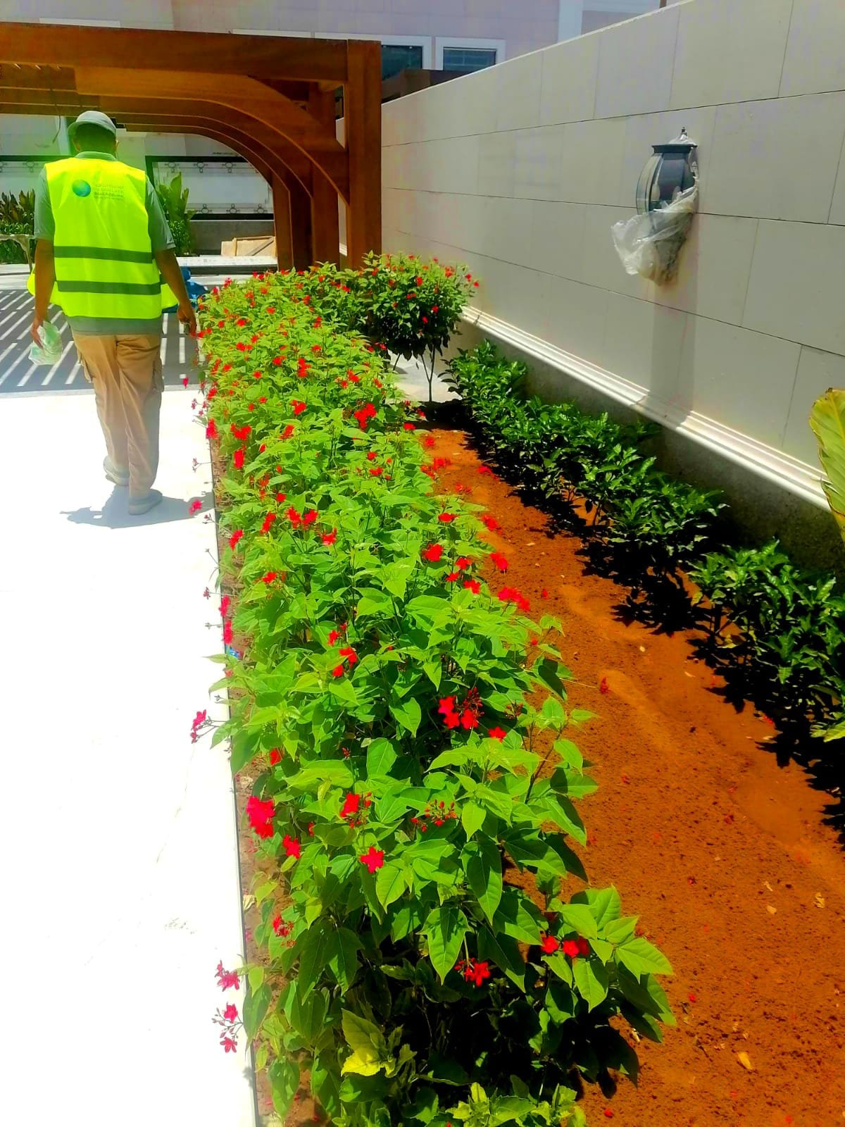 Landscape maintenance