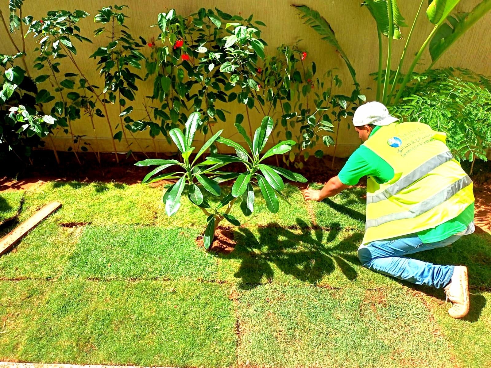 Landscape maintenance