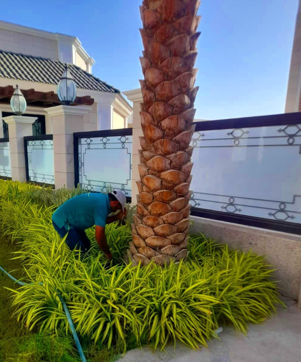 Landscape maintenance