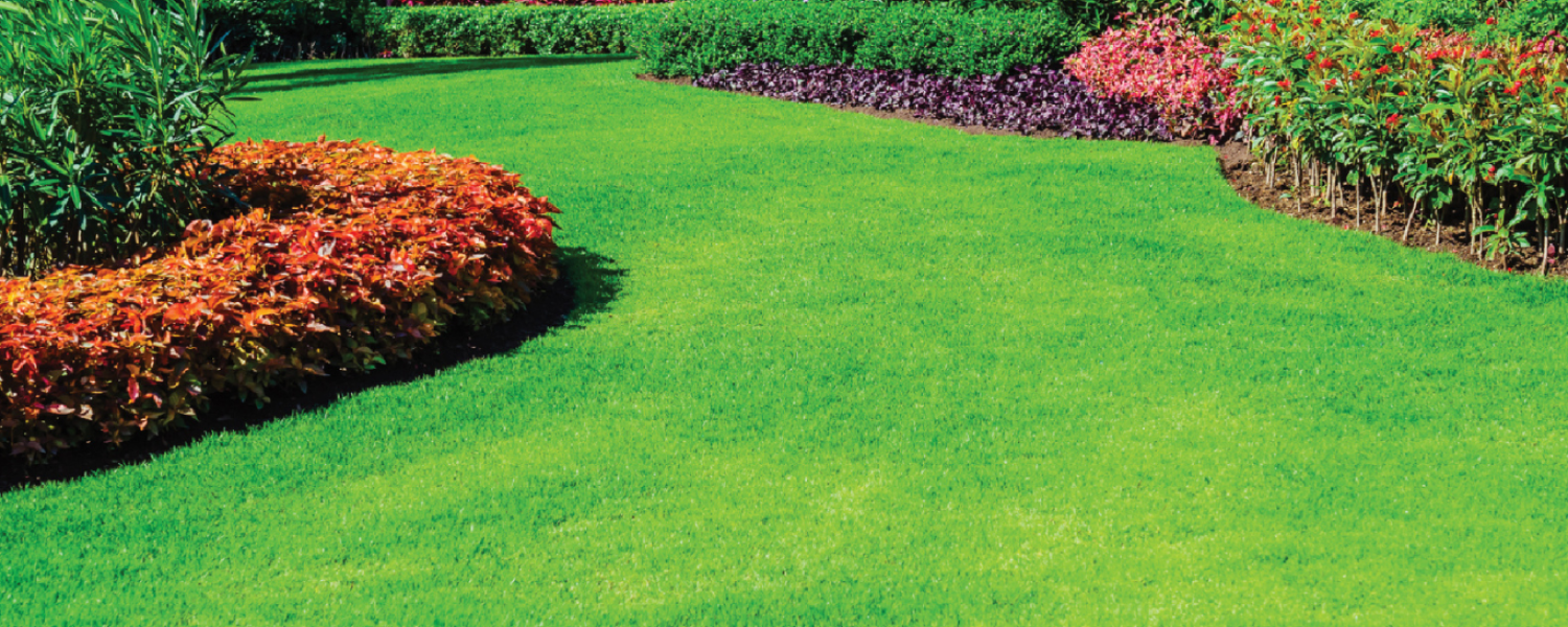 دون عنوان (الموقع الإلكتروني) (3)